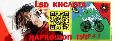 PSILOCYBIN Волгодонск