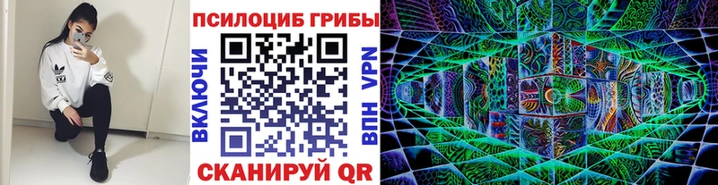 что такое наркотик  Полевской  Галлюциногенные грибы MAGIC MUSHROOMS 