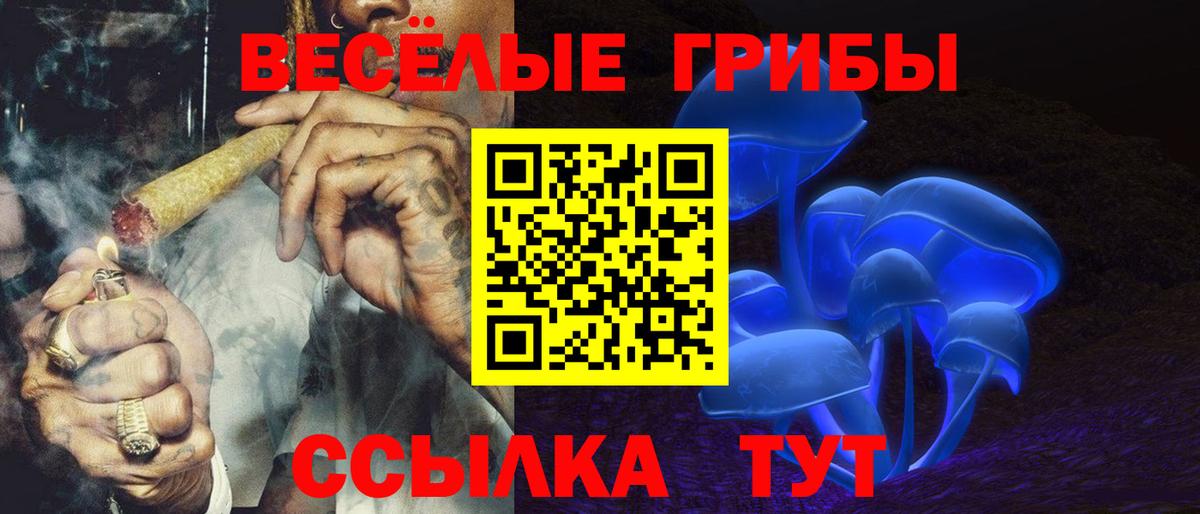 Галлюциногенные грибы MAGIC MUSHROOMS Полевской